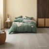 Simmons green bedding sponge mattress for the elderly, suitable for single and double beds details Picture